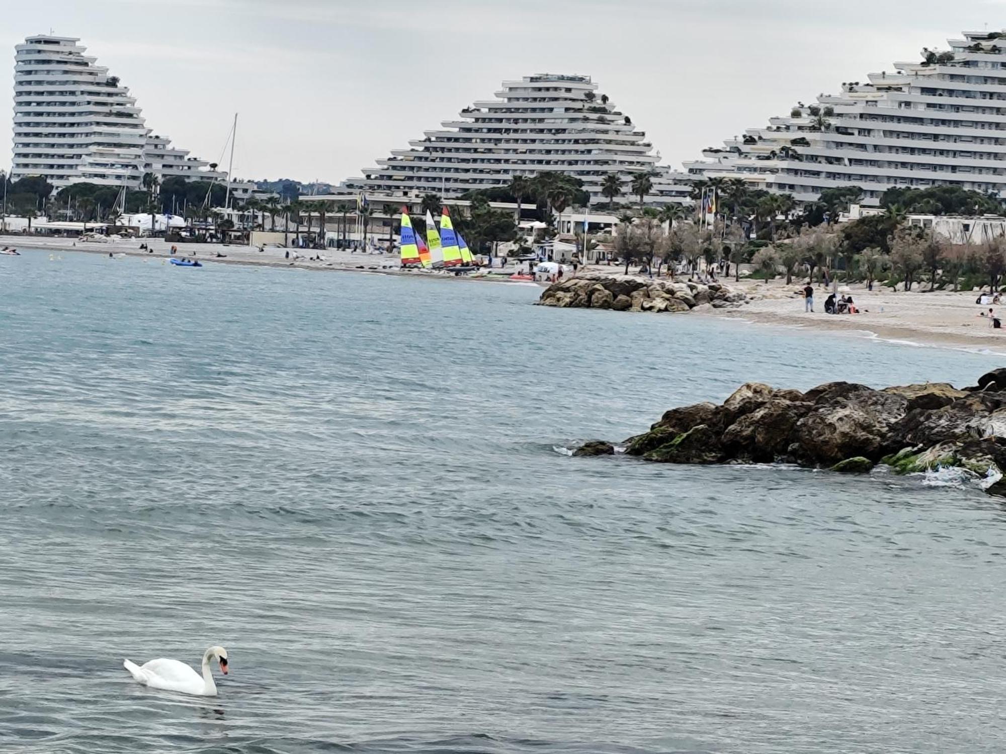 La Marina - T2 Apartment Villeneuve-Loubet Exterior photo